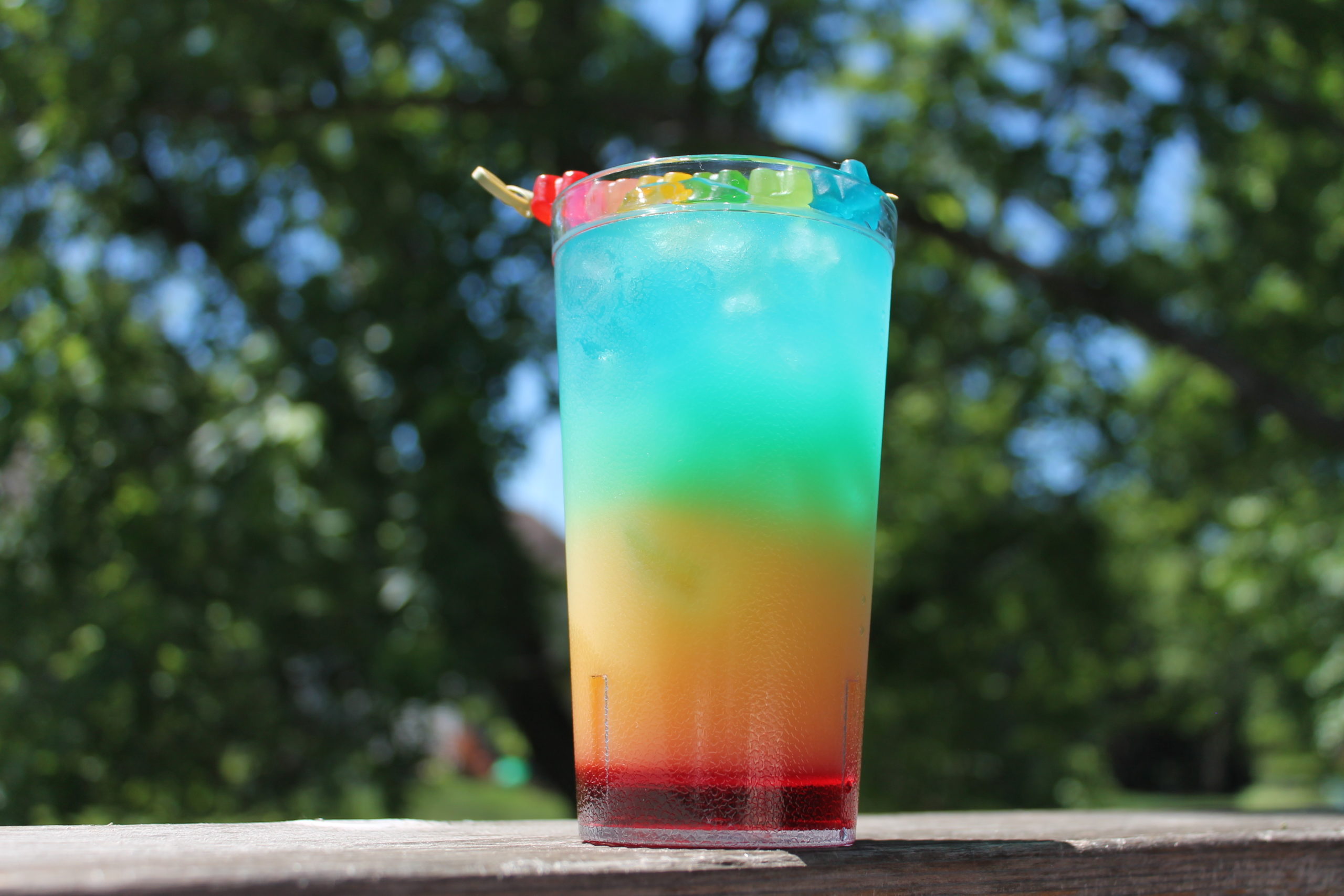 Rainbow Mimosa